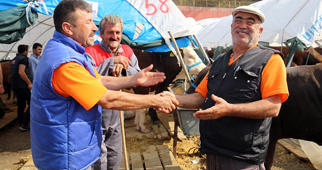 Sahibinden satılık e-kurbanlık - Yeni Meram