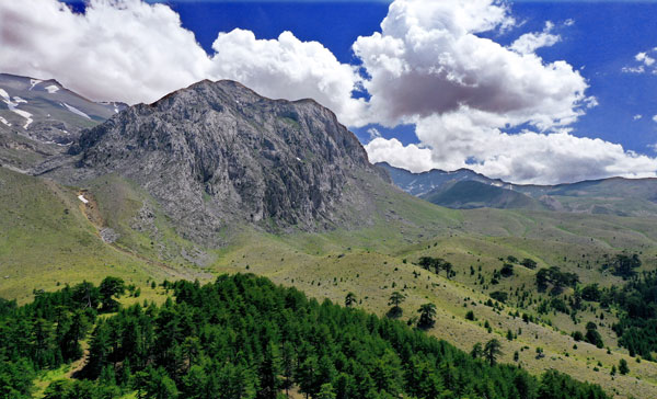 Konya'nın "yayla cenneti" Anamas Dağı