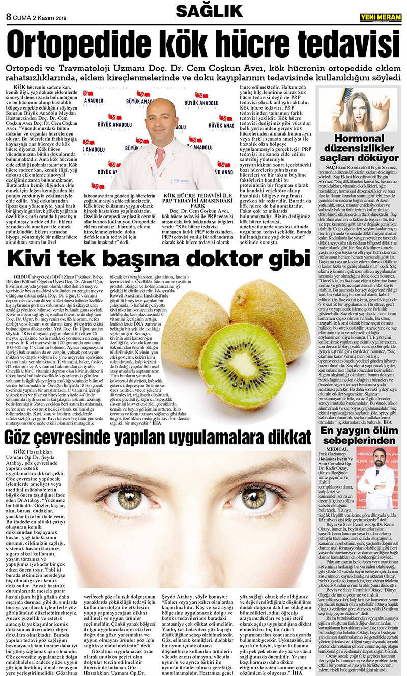 2 Kasım 2018 Yeni Meram Gazetesi