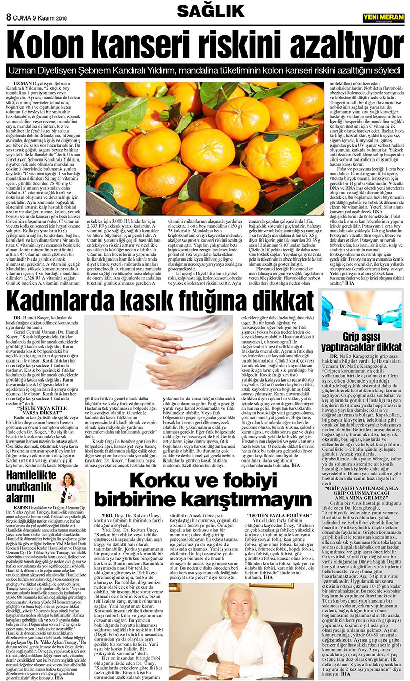 9 Kasım 2018 Yeni Meram Gazetesi