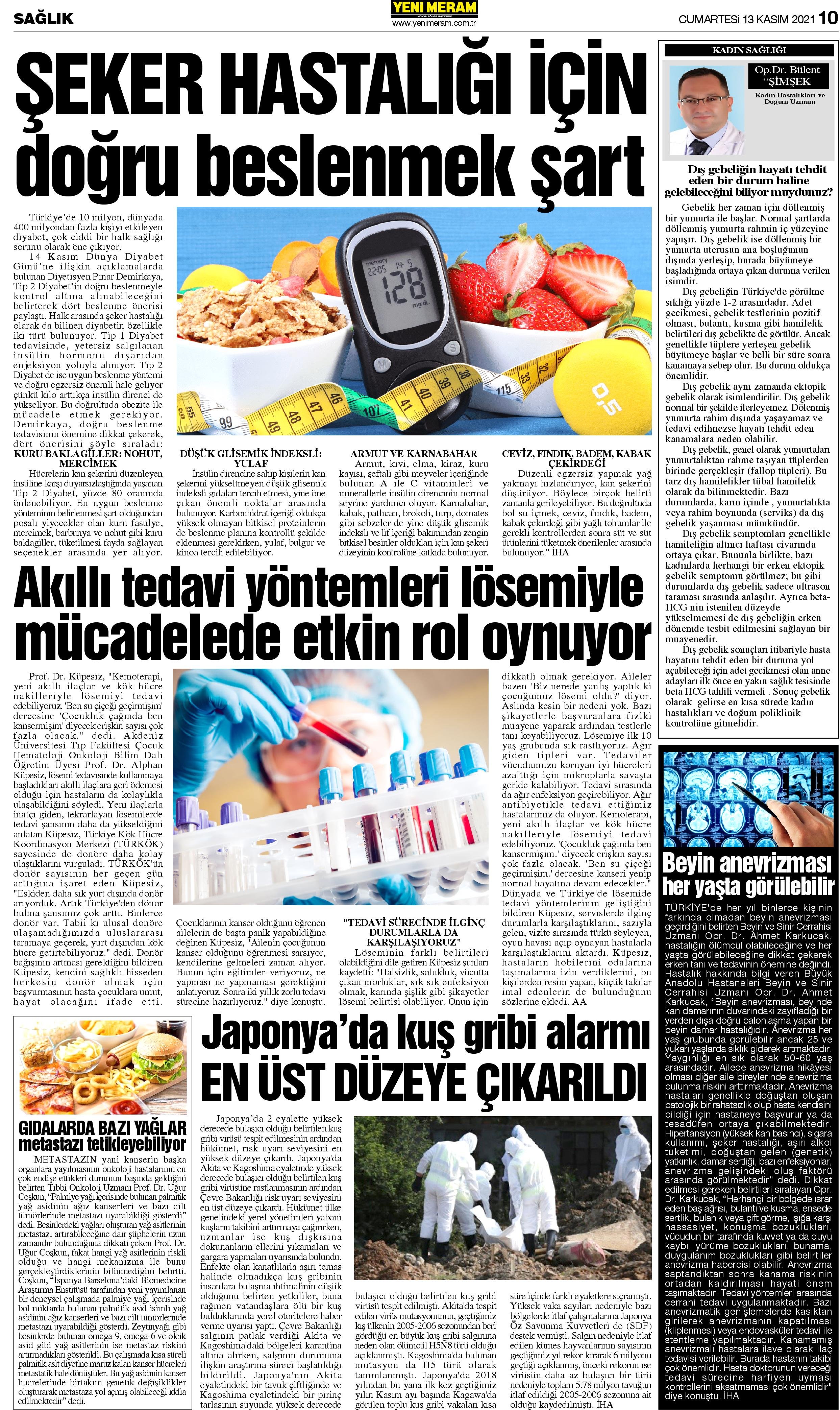 13 Kasım 2021 Yeni Meram Gazetesi